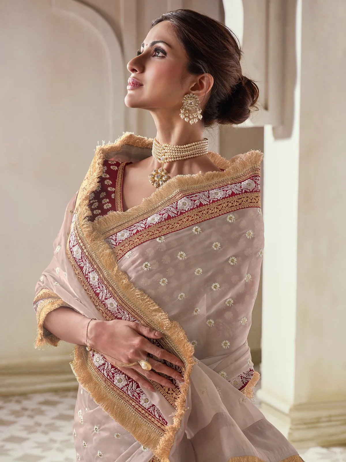 Odette Beige Organza Embroidered Saree With Unstitched Blouse For Women